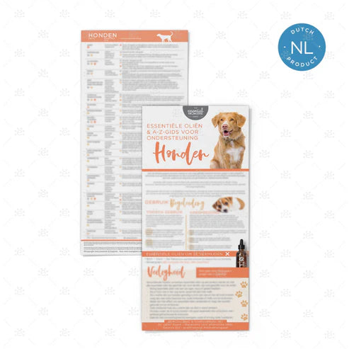 Cartes de présentation des maladies des chiens (à l'unité)