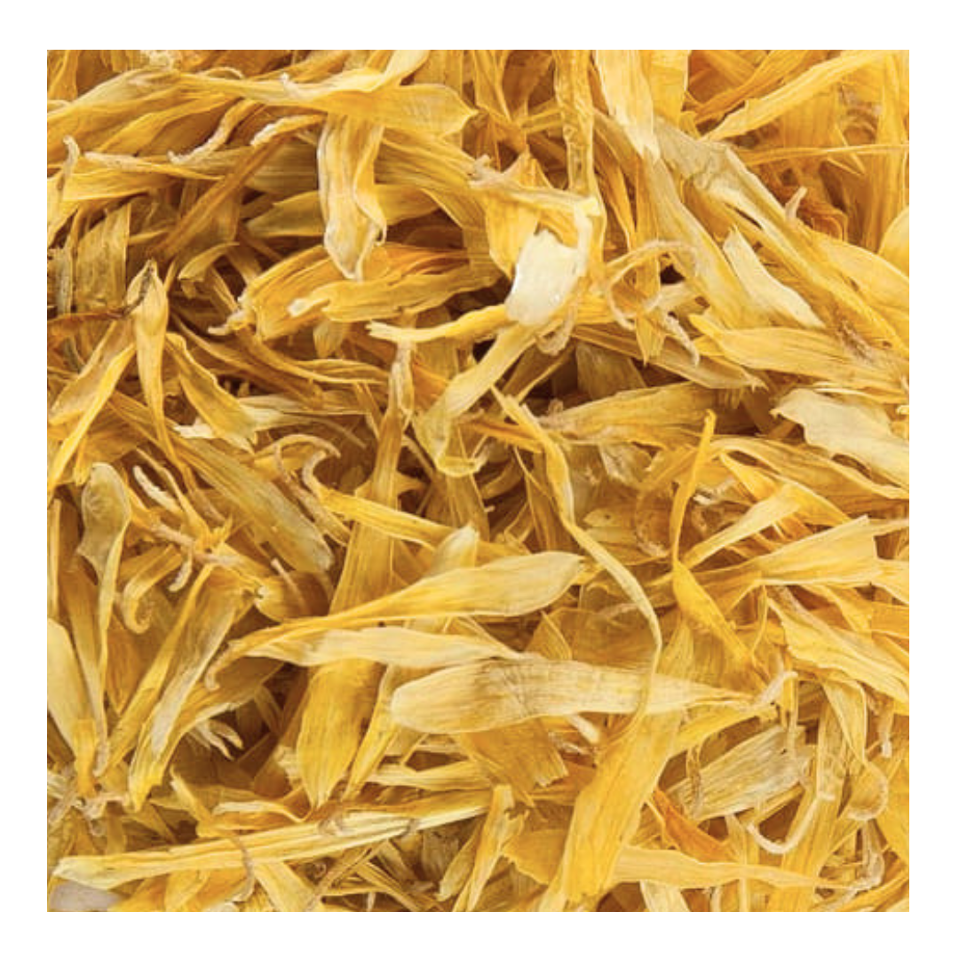 Calendula (Gedroogd)