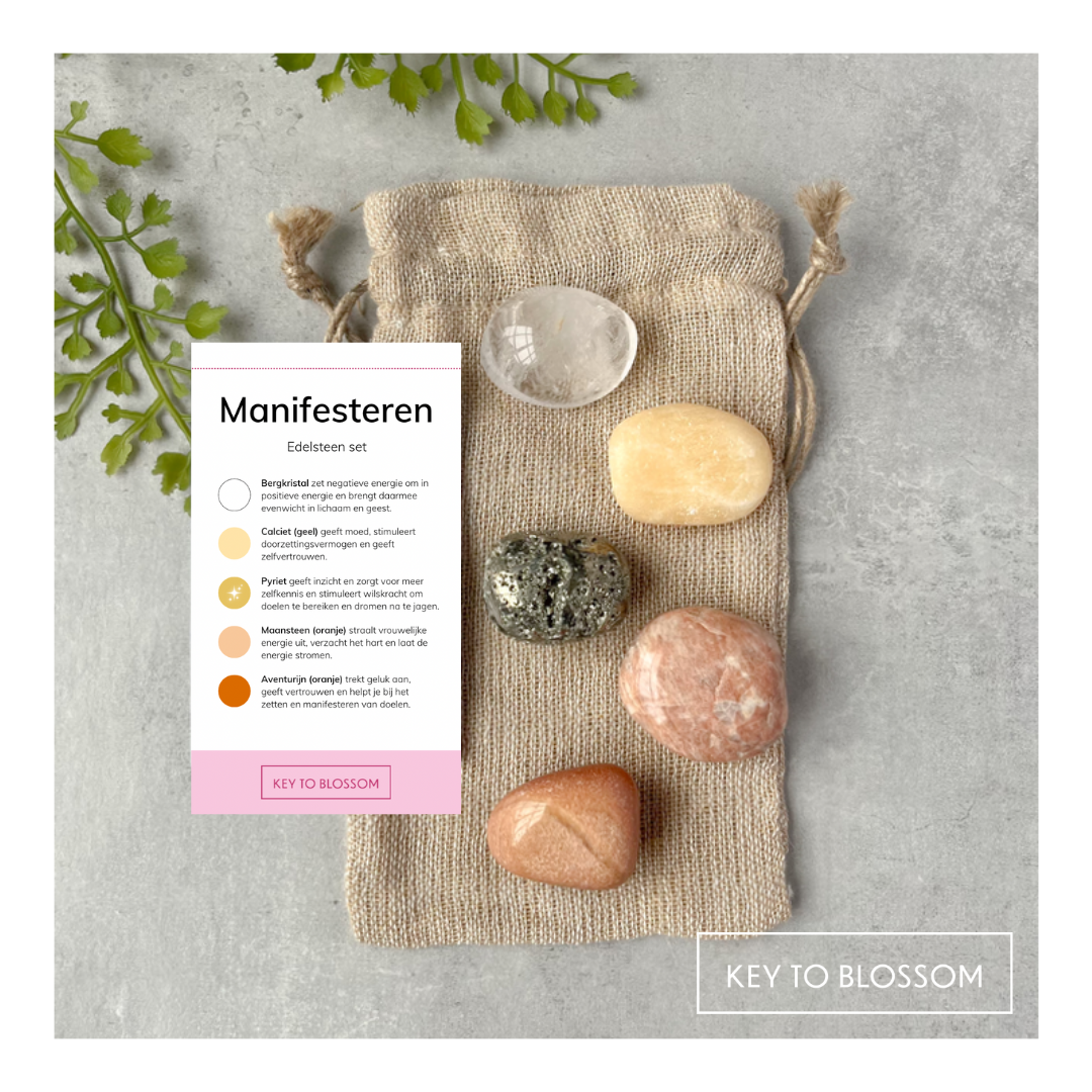 Ensemble Manifesteren